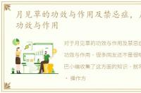 月见草的功效与作用及禁忌症，月见草的功效与作用