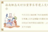 海南椰岛及时任董事长等遭上交所监管警示