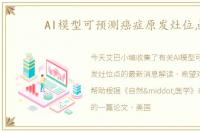 AI模型可预测癌症原发灶位点