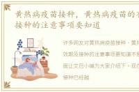 黄热病疫苗接种，黄热病疫苗的有效期及接种的注意事项要知道