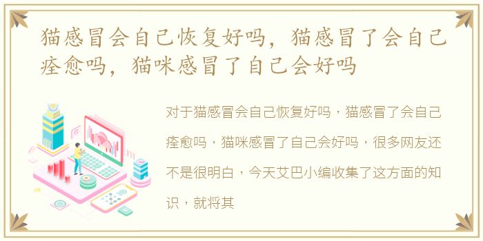 猫感冒会自己恢复好吗，猫感冒了会自己痊愈吗，猫咪感冒了自己会好吗