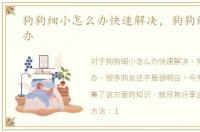 狗狗细小怎么办快速解决，狗狗细小怎么办