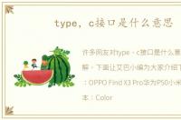 type，c接口是什么意思