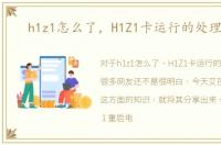 h1z1怎么了，H1Z1卡运行的处理办法