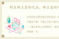 野生蜂王浆的吃法，蜂王浆的吃法