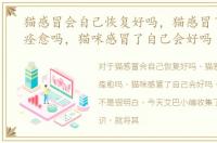 猫感冒会自己恢复好吗，猫感冒了会自己痊愈吗，猫咪感冒了自己会好吗