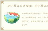 cf不掉血文件2020，cf不掉血文件