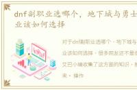 dnf副职业选哪个，地下城与勇士dnf副职业该如何选择