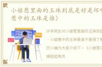 小娘惹里面的玉珠到底是好是坏啊（小娘惹中的玉珠是谁）