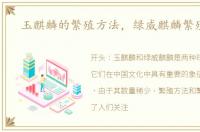 玉麒麟的繁殖方法，绿威麒麟繁殖时间