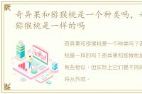 奇异果和猕猴桃是一个种类吗，奇异果跟猕猴桃是一样的吗