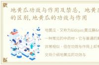 地黄瓜功效与作用及禁忌，地黄瓜和黄瓜的区别,地黄瓜的功效与作用