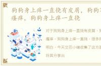狗狗身上痒一直挠有皮屑，狗狗不明原因瘙痒，狗狗身上痒一直挠
