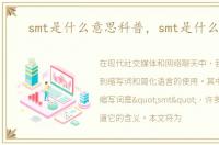 smt是什么意思科普，smt是什么意思