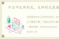 什么叫文件形式，文件形式是指什么