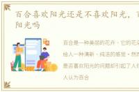 百合喜欢阳光还是不喜欢阳光，百合喜欢阳光吗