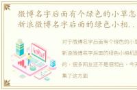 微博名字后面有个绿色的小草怎么去掉，新浪微博名字后面的绿色小相机图标是怎么来的