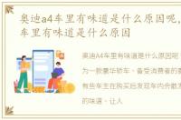 奥迪a4车里有味道是什么原因呢，奥迪a4车里有味道是什么原因