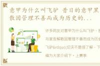 意甲为什么叫飞驴 昔日的意甲黑马宣告解散因管理不善而成为历史的“飞驴”切沃