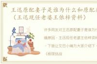王迅原配妻子是谁为什么和原配离婚原因（王迅现任老婆王依梓资料）