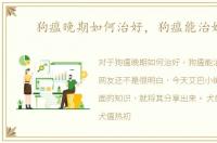 狗瘟晚期如何治好，狗瘟能治好吗