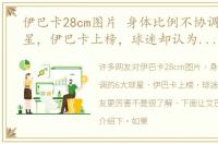 伊巴卡28cm图片 身体比例不协调的6大球星，伊巴卡上榜，球迷却认为他女友更厉害