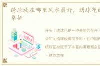 绣球放在哪里风水最好，绣球花的寓意和象征