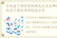 手机丢了微信里的钱怎么办去哪挂失，手机丢了微信里的钱怎么办