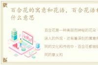 百合花的寓意和花语，百合花语和寓意是什么意思
