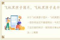 飞机黑匣子图片，飞机黑匣子是什么东西