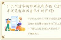 什么叫清华姚班到底有多强（清华姚班厉害还是智班厉害他们的区别）