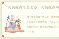 狗狗腿瘸了怎么办，狗狗腿瘸的原因