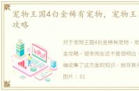 宠物王国4白金稀有宠物，宠物王国4-白金攻略