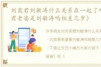 刘奕君刘敏涛什么关系在一起了吗（刘奕君老婆是刘敏涛吗相差几岁）