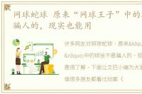 网球蛇球 原来“网球王子”中的球技不是骗人的，现实也能用