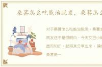 桑葚怎么吃能治脱发，桑葚怎么吃