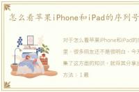 怎么看苹果iPhone和iPad的序列号在哪里