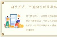 猪头图片，可爱猪头的简单画法