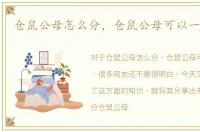 仓鼠公母怎么分，仓鼠公母可以一起养吗