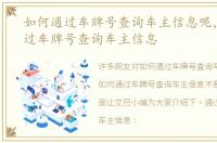 如何通过车牌号查询车主信息呢，如何通过车牌号查询车主信息