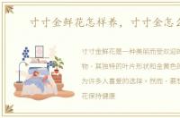 寸寸金鲜花怎样养，寸寸金怎么养