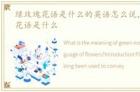 绿玫瑰花语是什么的英语怎么说，绿玫瑰花语是什么