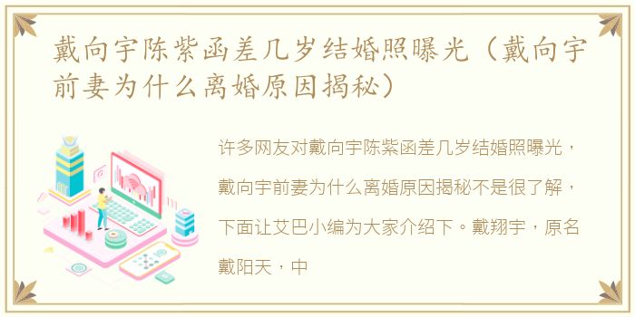 戴向宇陈紫函差几岁结婚照曝光（戴向宇前妻为什么离婚原因揭秘）