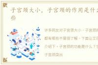 子宫颈大小，子宫颈的作用是什么都有哪些