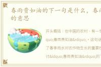 春雨贵如油的下一句是什么，春雨贵如油的意思