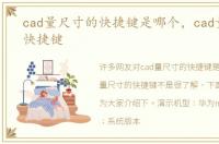 cad量尺寸的快捷键是哪个，cad量尺寸的快捷键
