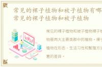 常见的裸子植物和被子植物有哪些图片，常见的裸子植物和被子植物