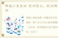 挪威小鱼鱼油 欧洲禁止，欧洲挪威景点介绍