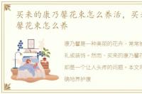 买来的康乃馨花束怎么养活，买来的康乃馨花束怎么养