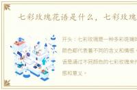 七彩玫瑰花语是什么，七彩玫瑰花语